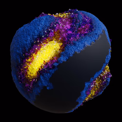 Asm Gen Ii Brains
