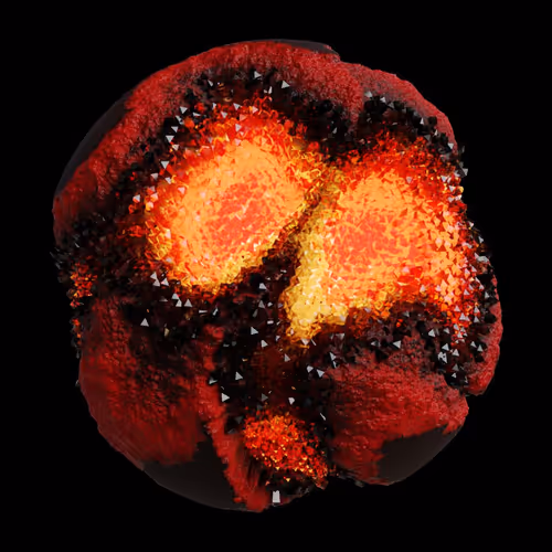 Asm Gen Ii Brains