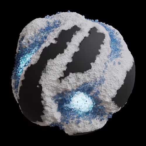 Asm Gen Ii Brains