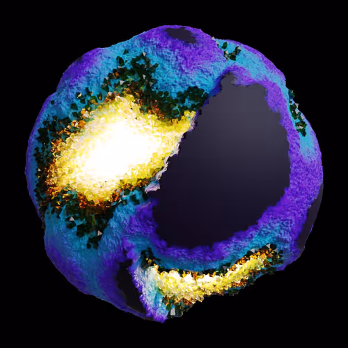Asm Gen Ii Brains