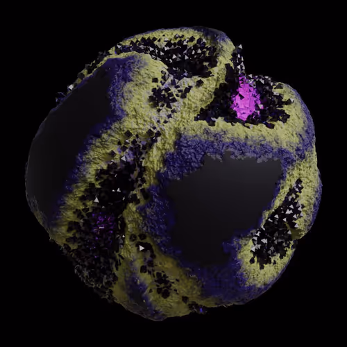 Asm Gen Ii Brains
