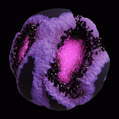 Asm Gen Ii Brains