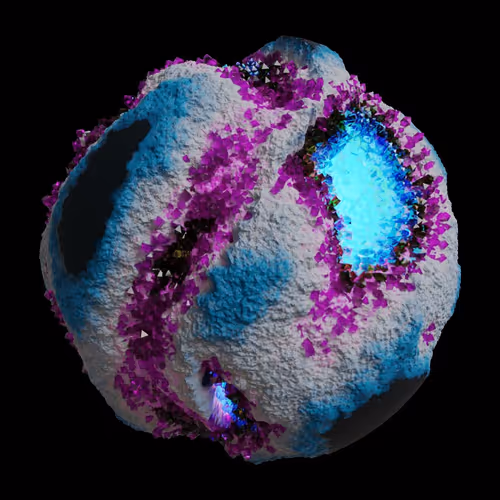 Asm Gen Ii Brains
