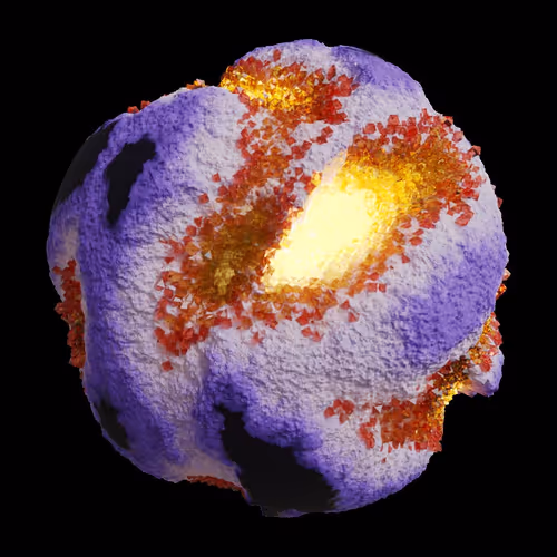 Asm Gen Ii Brains