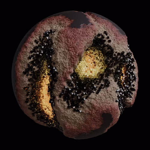 Asm Gen Ii Brains