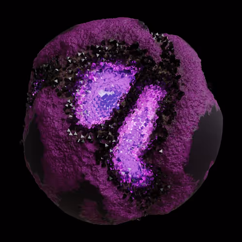Asm Gen Ii Brains