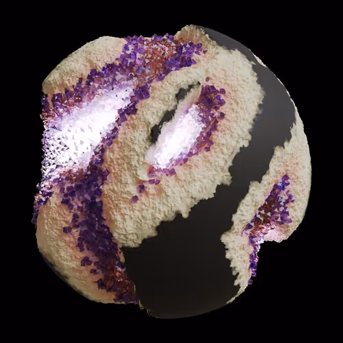 Asm Gen Ii Brains