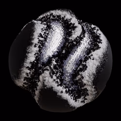 Asm Gen Ii Brains