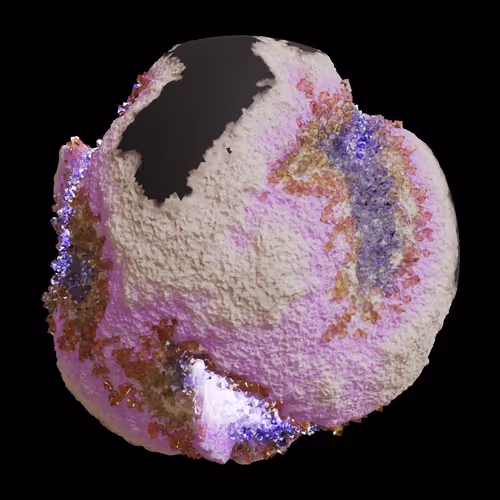 Asm Gen Ii Brains
