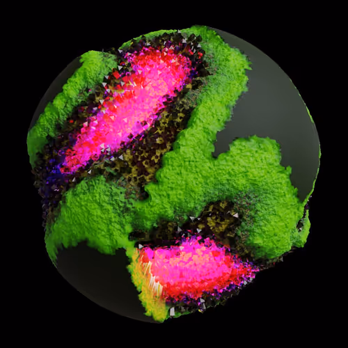 Asm Gen Ii Brains