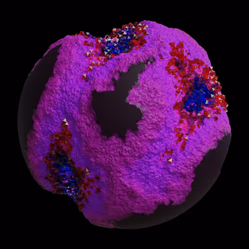 Asm Gen Ii Brains