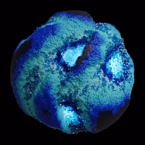 Asm Gen Ii Brains