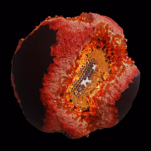 Asm Gen Ii Brains