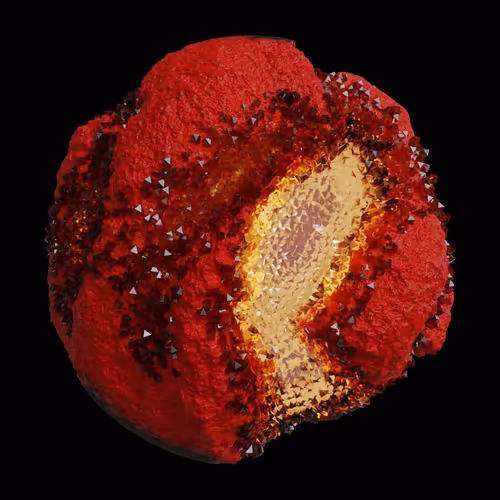 Asm Gen Ii Brains