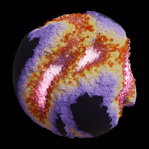 Asm Gen Ii Brains