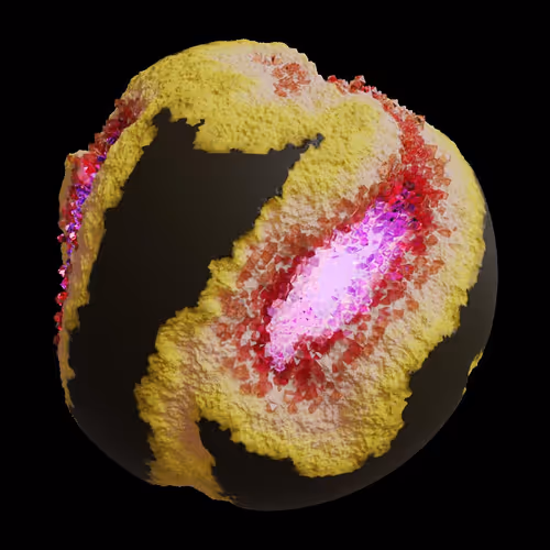 Asm Gen Ii Brains