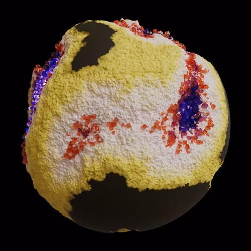Asm Gen Ii Brains