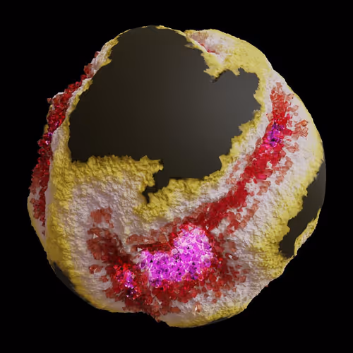 Asm Gen Ii Brains