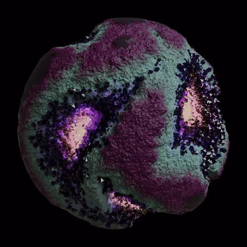 Asm Gen Ii Brains