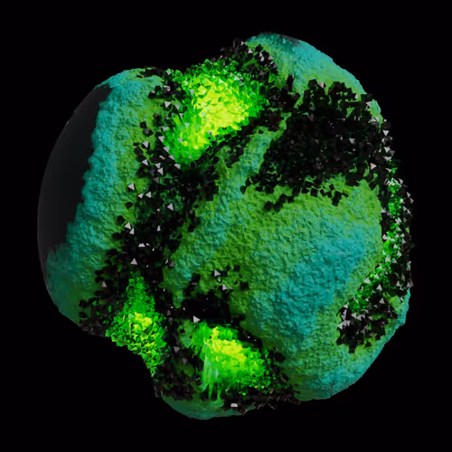 Asm Gen Ii Brains