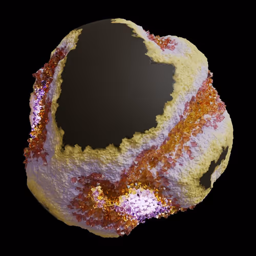 Asm Gen Ii Brains