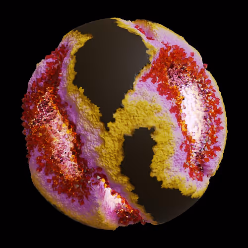 Asm Gen Ii Brains