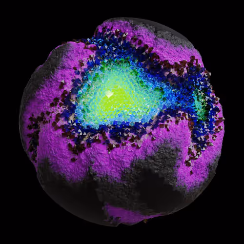 Asm Gen Ii Brains