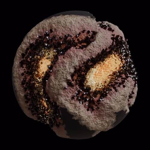 Asm Gen Ii Brains