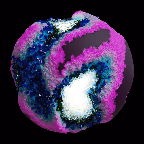 Asm Gen Ii Brains
