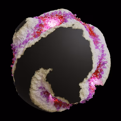 Asm Gen Ii Brains