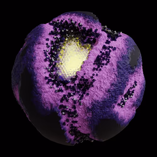Asm Gen Ii Brains