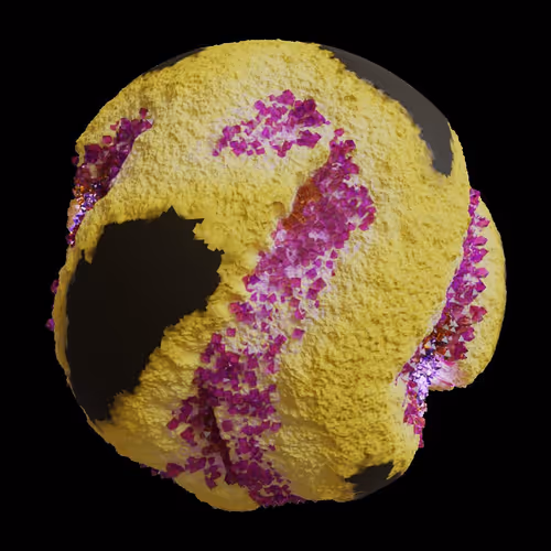 Asm Gen Ii Brains