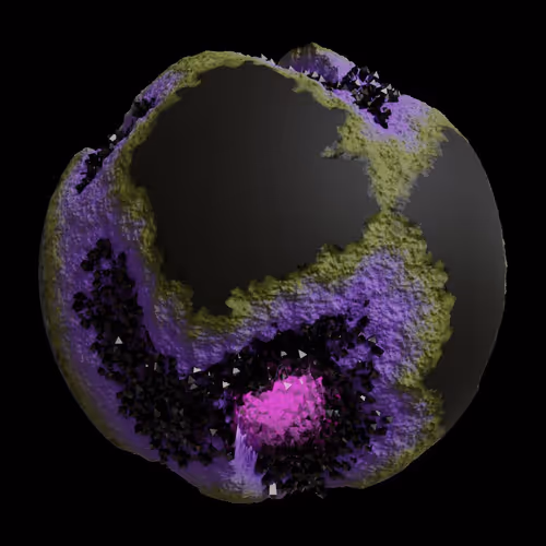 Asm Gen Ii Brains