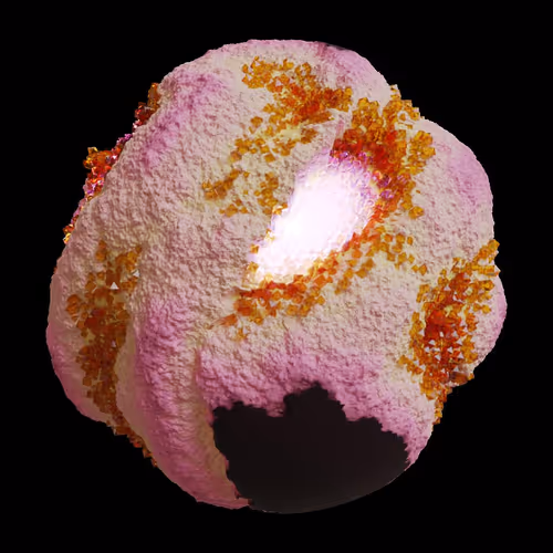 Asm Gen Ii Brains