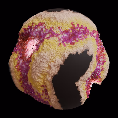 Asm Gen Ii Brains