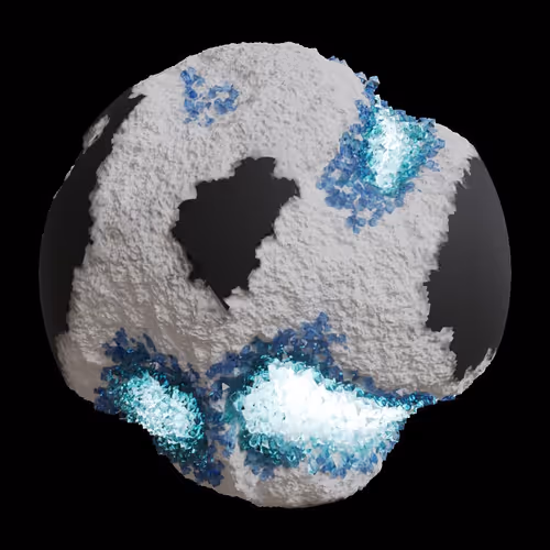Asm Gen Ii Brains