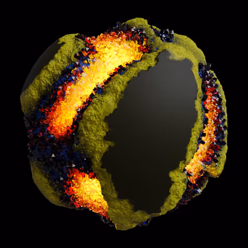 Asm Gen Ii Brains
