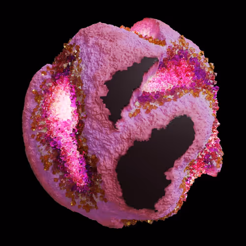 Asm Gen Ii Brains