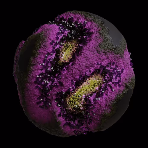 Asm Gen Ii Brains