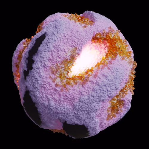 Asm Gen Ii Brains
