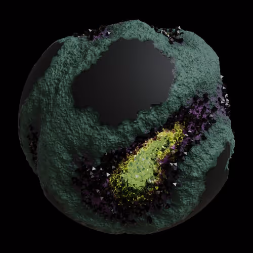 Asm Gen Ii Brains