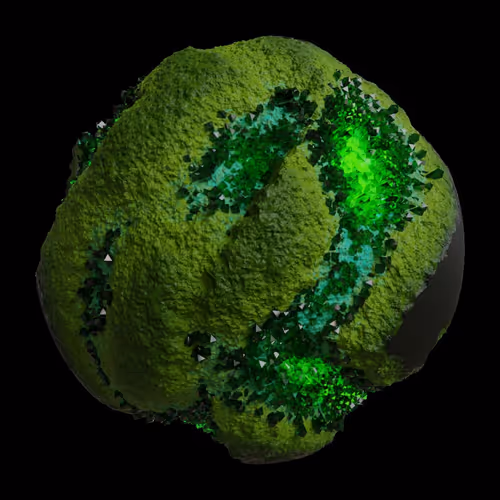 Asm Gen Ii Brains