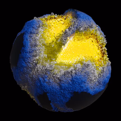 Asm Gen Ii Brains