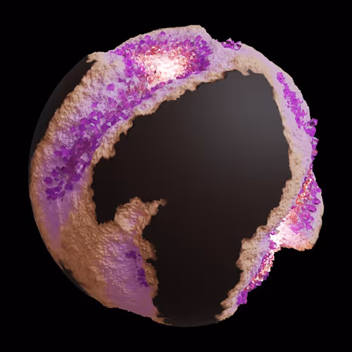 Asm Gen Ii Brains
