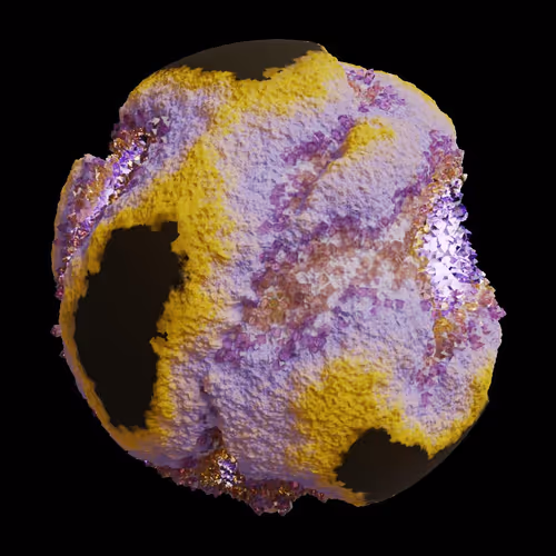 Asm Gen Ii Brains