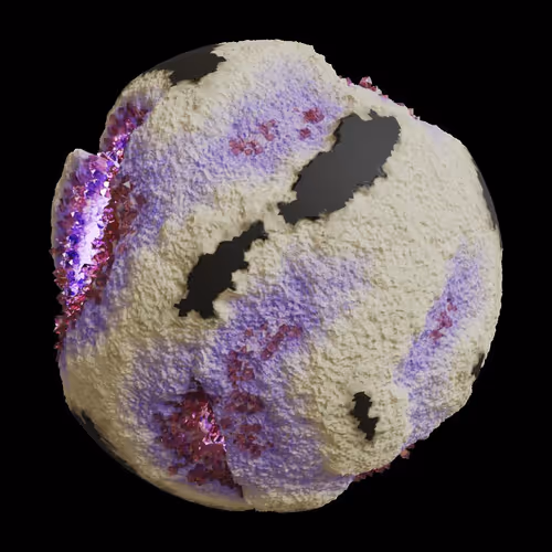 Asm Gen Ii Brains