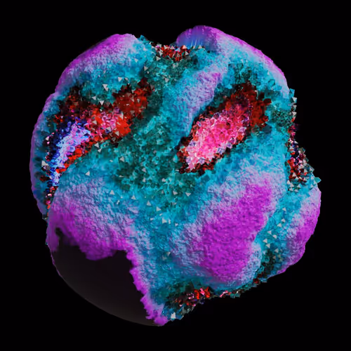 Asm Gen Ii Brains