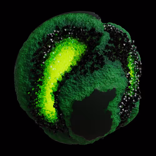 Asm Gen Ii Brains