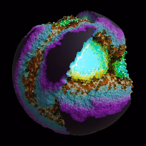 Asm Gen Ii Brains