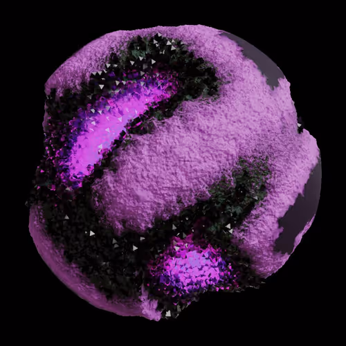 Asm Gen Ii Brains